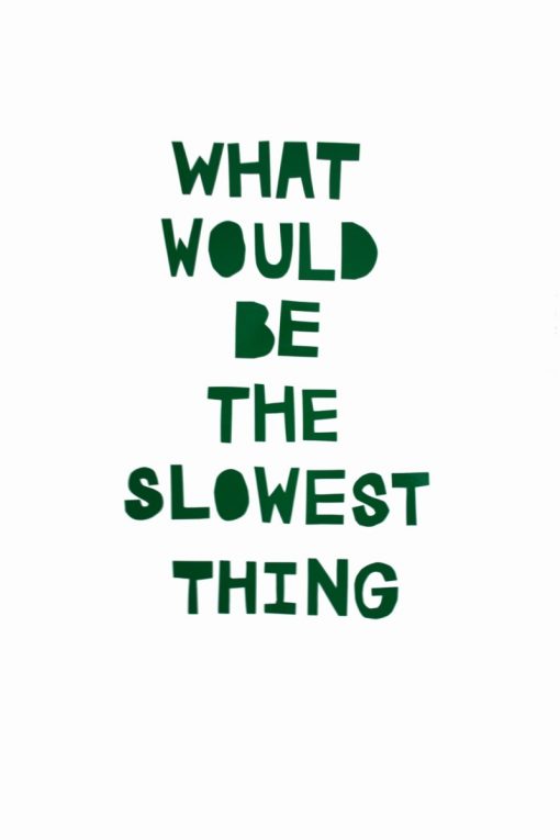 A graphic which reads 'what would be the slowest thing'