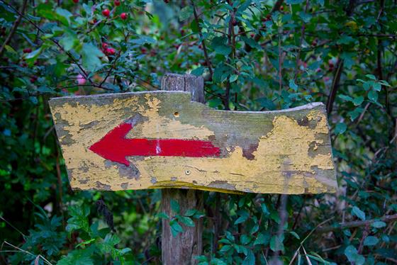 A wooden sign with a red arrow pointing to the left
