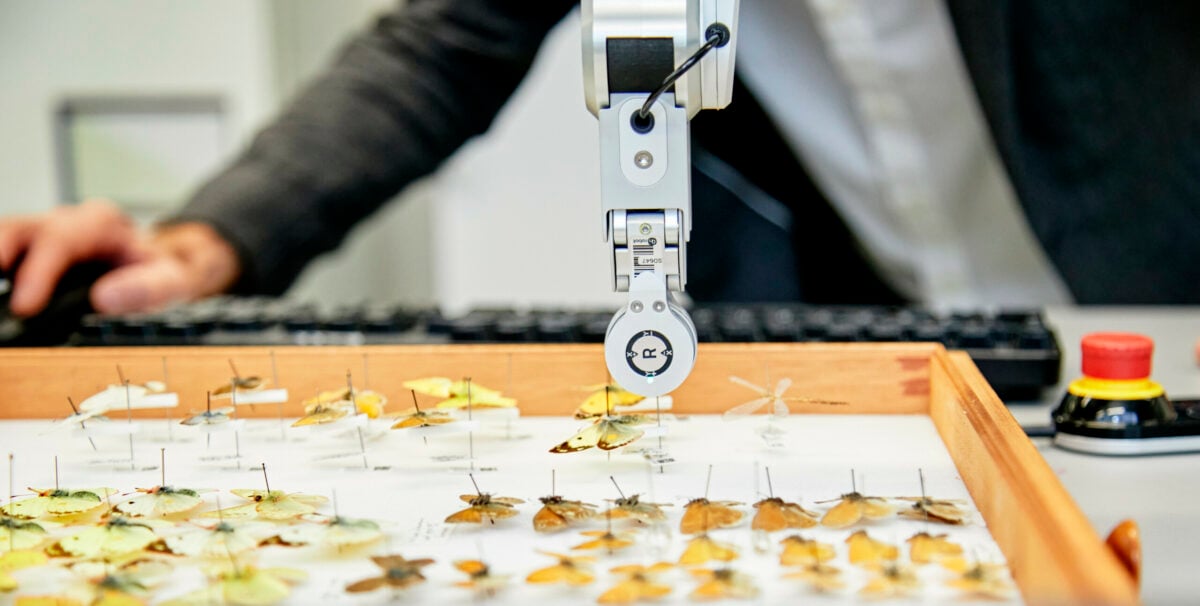 The Natural History Museum automating the digitisation of its collection