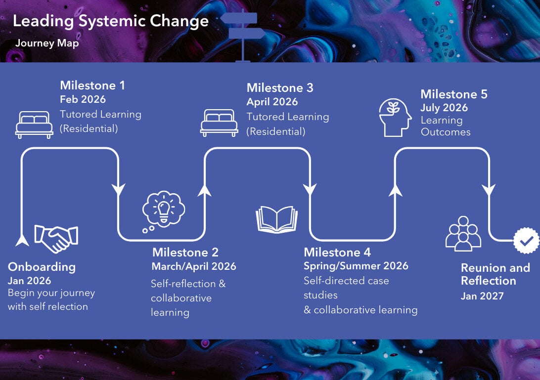 Leading Systemic Change Journey timeline